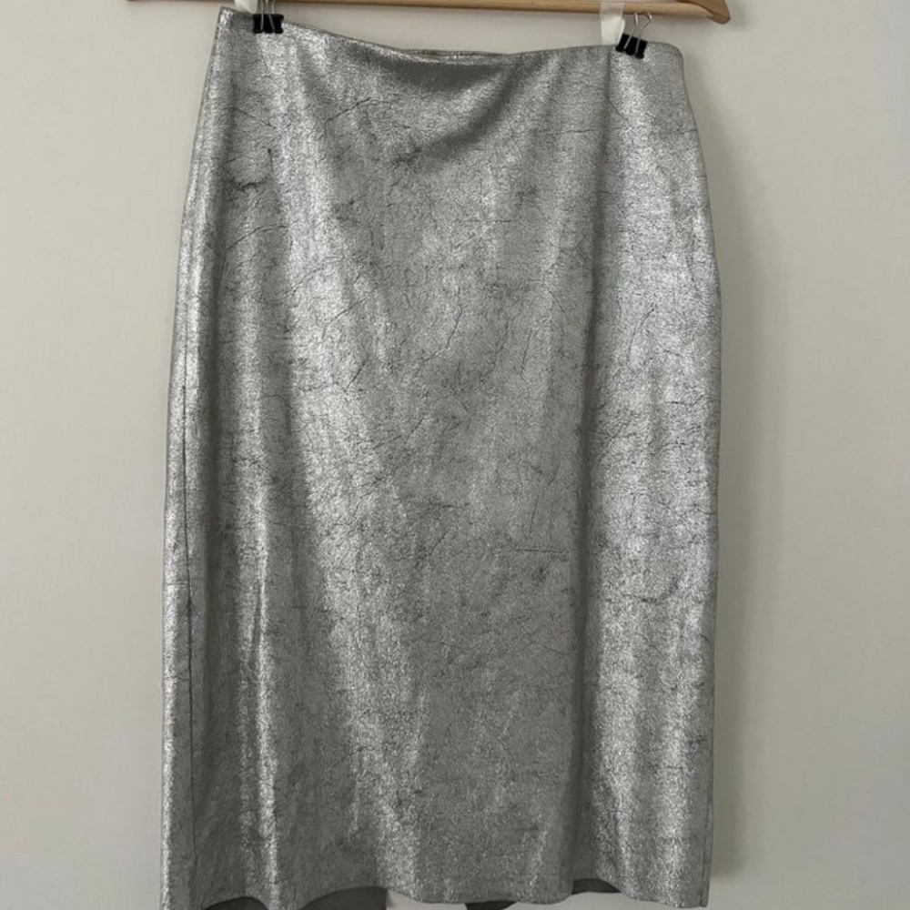 Zara metallic skirt